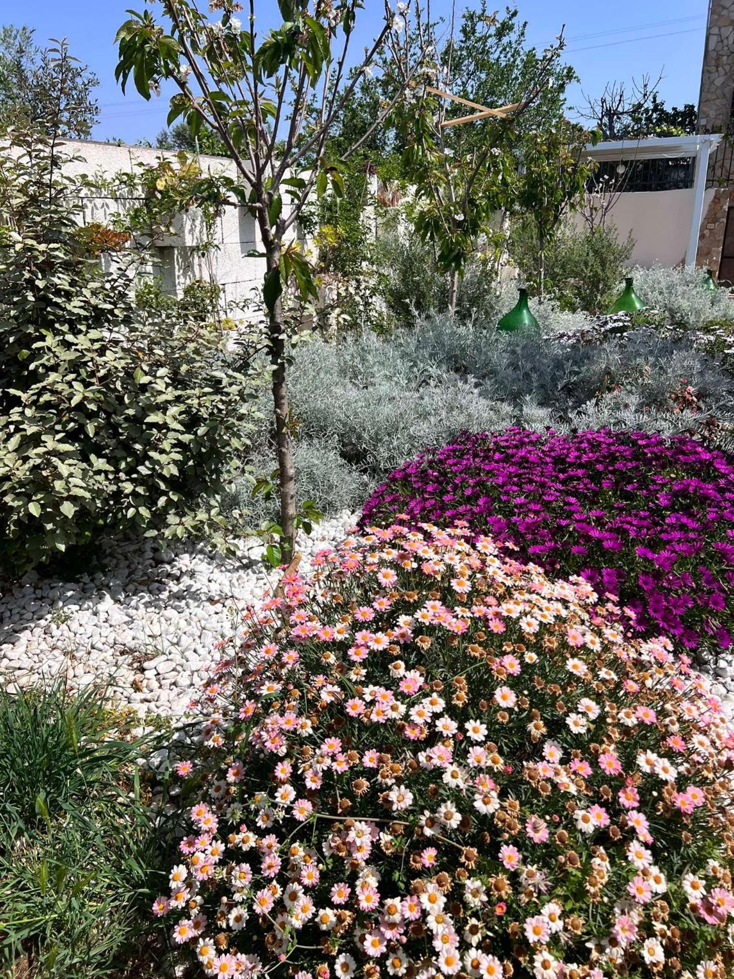 Villa Casa Vacanze Fiore Gallipoli Eksteriør billede