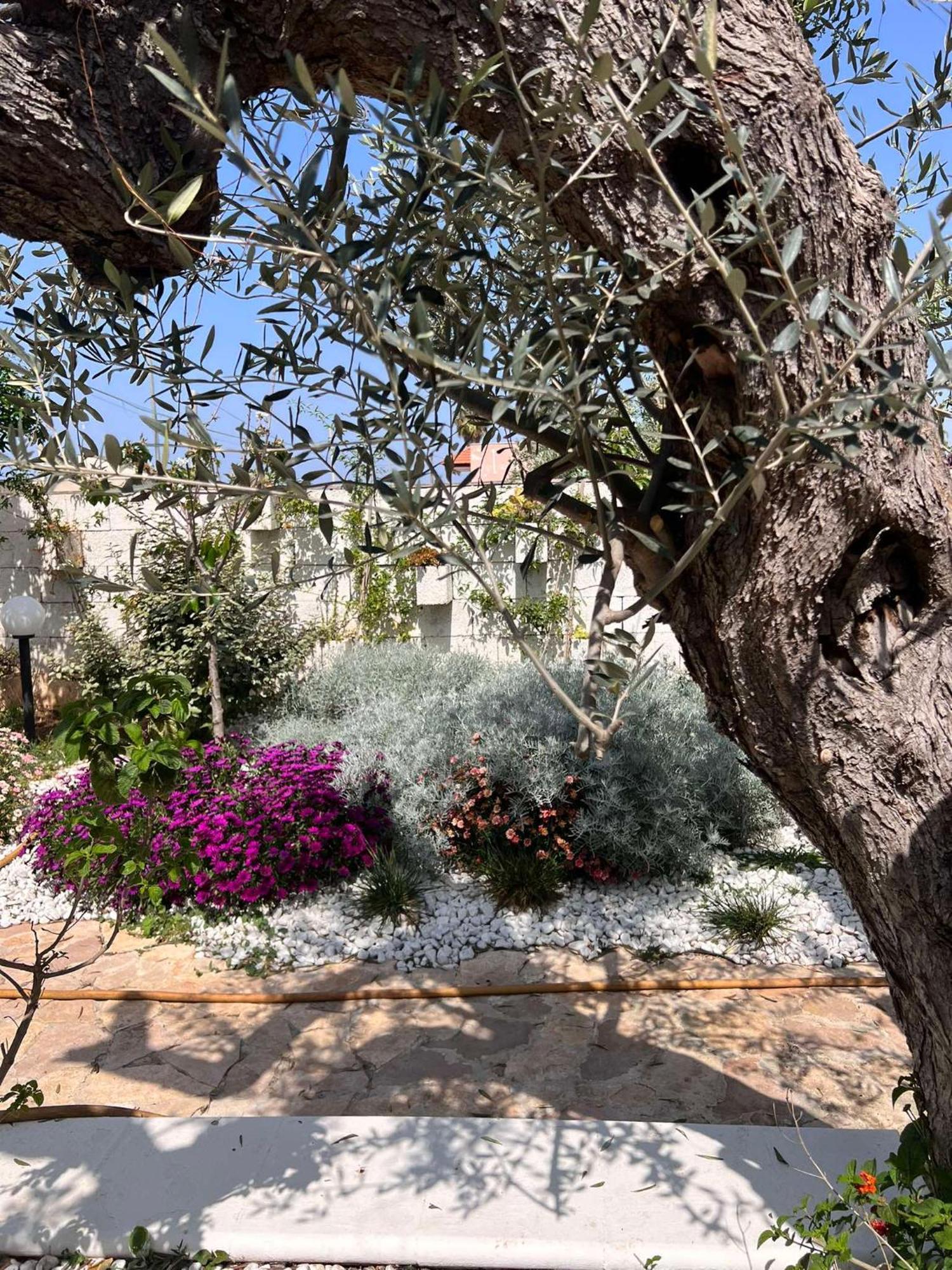 Villa Casa Vacanze Fiore Gallipoli Eksteriør billede