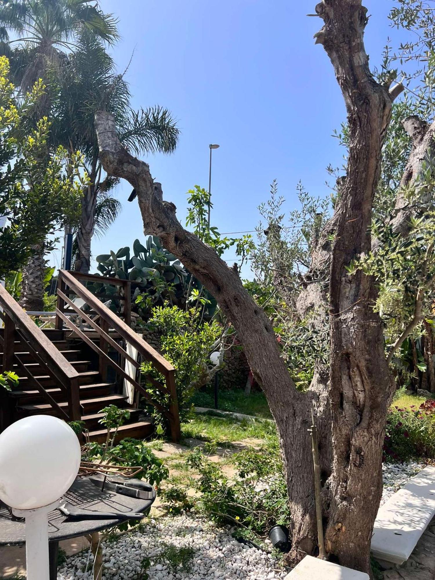 Villa Casa Vacanze Fiore Gallipoli Eksteriør billede